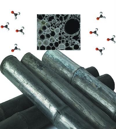 竹炭除甲醛不给力 专家建议：甲醛治理应该多方面入手